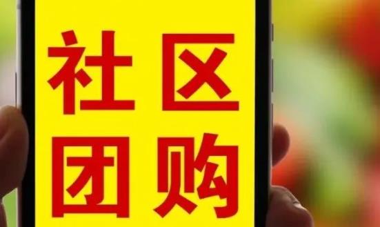 社區(qū)團(tuán)購行業(yè)商業(yè)模式、市場現(xiàn)狀、前景研究2024
