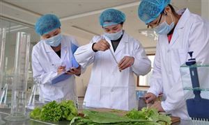 2024年食品安全行業(yè)發(fā)展前景及投資風(fēng)險預(yù)測 麥當(dāng)勞中國回應(yīng)過期食材換標(biāo)簽事件