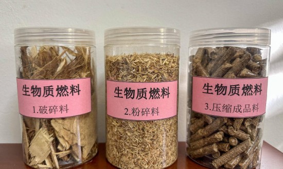 2024年新型生物清潔燃料行業(yè)的產(chǎn)業(yè)鏈上下游結(jié)構(gòu)及市場發(fā)展現(xiàn)狀