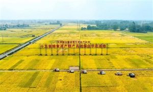 2024年中國高標(biāo)準(zhǔn)農(nóng)田行業(yè)的市場(chǎng)發(fā)展現(xiàn)狀及發(fā)展前景分析