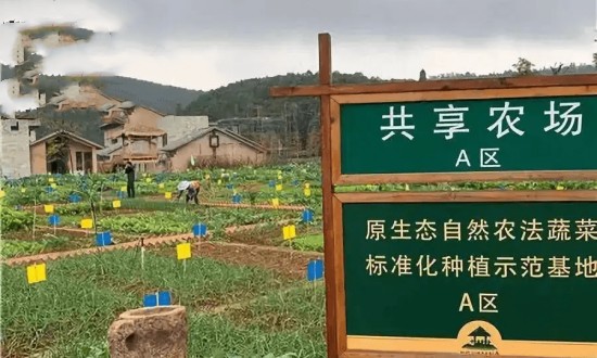 2024年共享農(nóng)場(chǎng)行業(yè)產(chǎn)業(yè)鏈的上下游結(jié)構(gòu)及發(fā)展趨勢(shì)