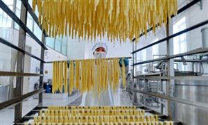 2024年中國大豆深加工行業(yè)的產業(yè)鏈上下游結構及投資前景