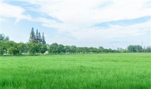 中國高標準農田行業(yè)市場調查與發(fā)展前景分析