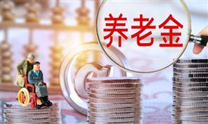 養(yǎng)老保險行業(yè)市場深度調(diào)研及投資策略預(yù)測報告 中國已建成世界規(guī)模最大的養(yǎng)老保險體系