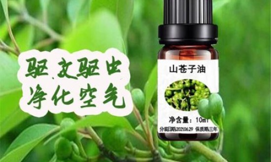 2024年中國(guó)山蒼子油行業(yè)的市場(chǎng)發(fā)展現(xiàn)狀及投資機(jī)會(huì)分析