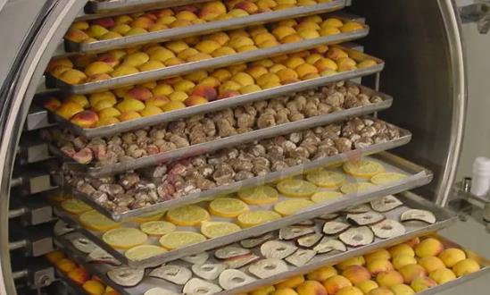 食品凍干機行業(yè)投資分析：預(yù)計到2029年將達(dá)到1023.46億元
