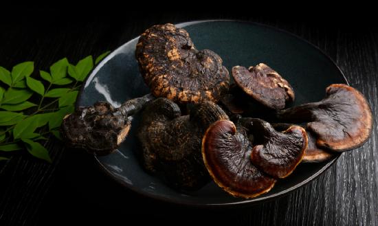靈芝行業(yè)現(xiàn)狀及前景分析 靈芝藥食同源的開發(fā)和應(yīng)用將會(huì)迎來新的突破