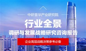 2024年大白菜行業(yè)市場發(fā)展現(xiàn)狀及未來發(fā)展前景趨勢分析