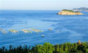 2024中國海洋牧場行業(yè)深度分析及企業(yè)規(guī)模分析