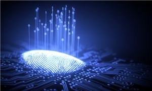 2025中國(guó)安全芯片行業(yè)深度調(diào)研及投資機(jī)會(huì)分析