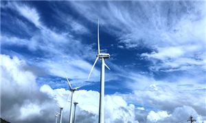 2025風(fēng)力發(fā)電機(jī)葉片行業(yè)市場(chǎng)深度調(diào)研  風(fēng)力發(fā)電機(jī)葉片行業(yè)未來(lái)發(fā)展前景預(yù)測(cè)研究分析