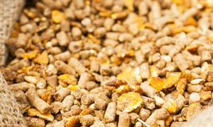 2025年牲豬飼料行業(yè)現(xiàn)狀與發(fā)展趨勢分析