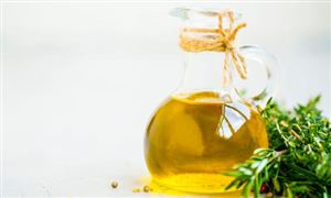 2025植物香料行業(yè)市場調(diào)查分析及未來發(fā)展前景、機遇分析
