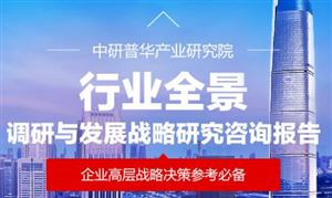 2025年中國(guó)數(shù)字防偽行業(yè)全景調(diào)研與發(fā)展前景預(yù)測(cè)