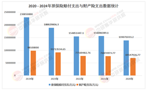 2025-2030中國財產(chǎn)險行業(yè)：誰將主導市場?