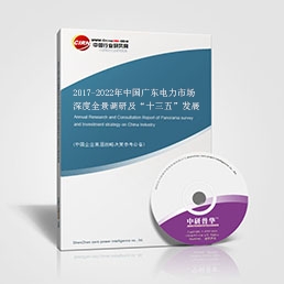 2017-2022年中國廣東電力市場深度全景調(diào)研及“十三五”發(fā)展前景預(yù)測報告