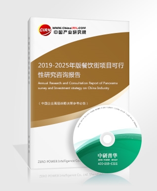 2019-2025年版餐飲街項目可行性研究咨詢報告