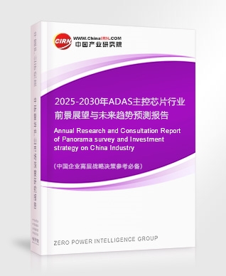 2025-2030年ADAS主控芯片行業(yè)前景展望與未來趨勢預(yù)測報告